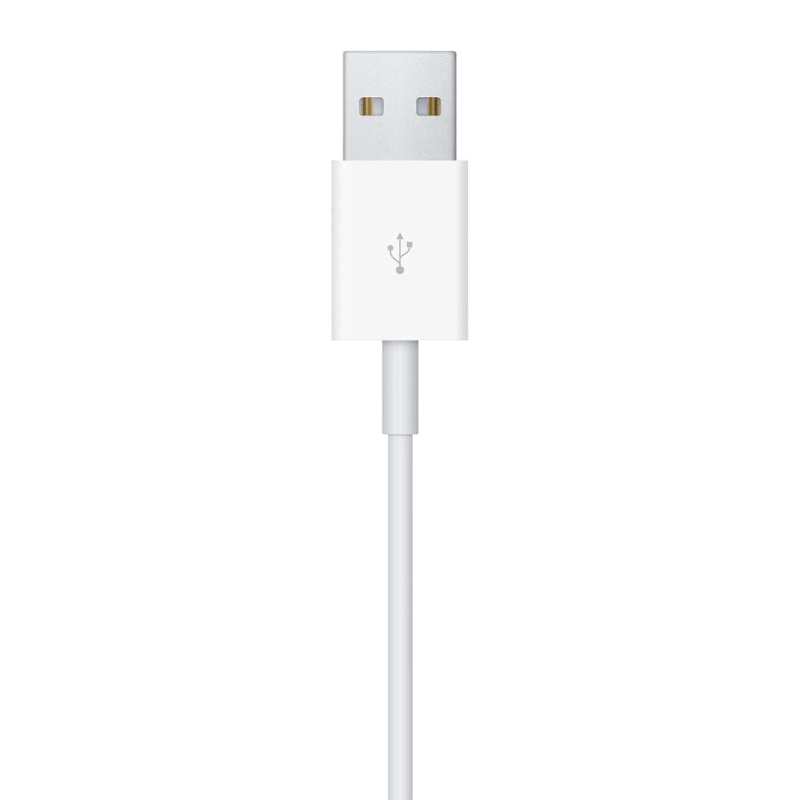 Apple Magnetic Charging Cable (1 m)